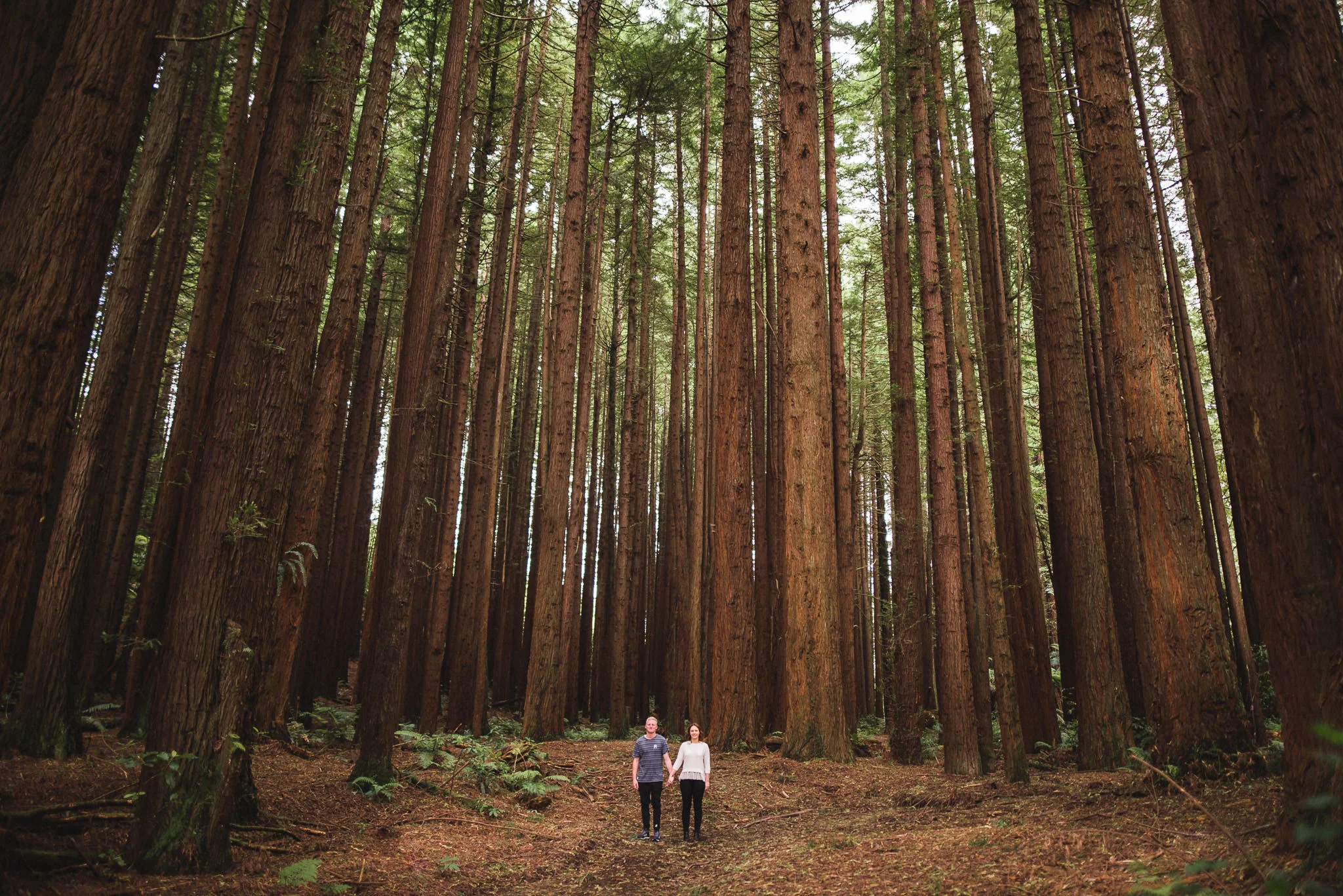 couples2017-portfolio073.jpg