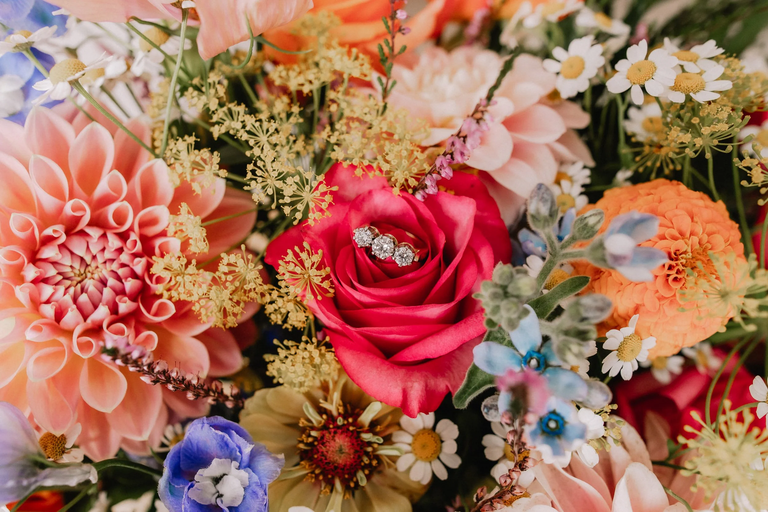 Christchurch wedding photography flowers