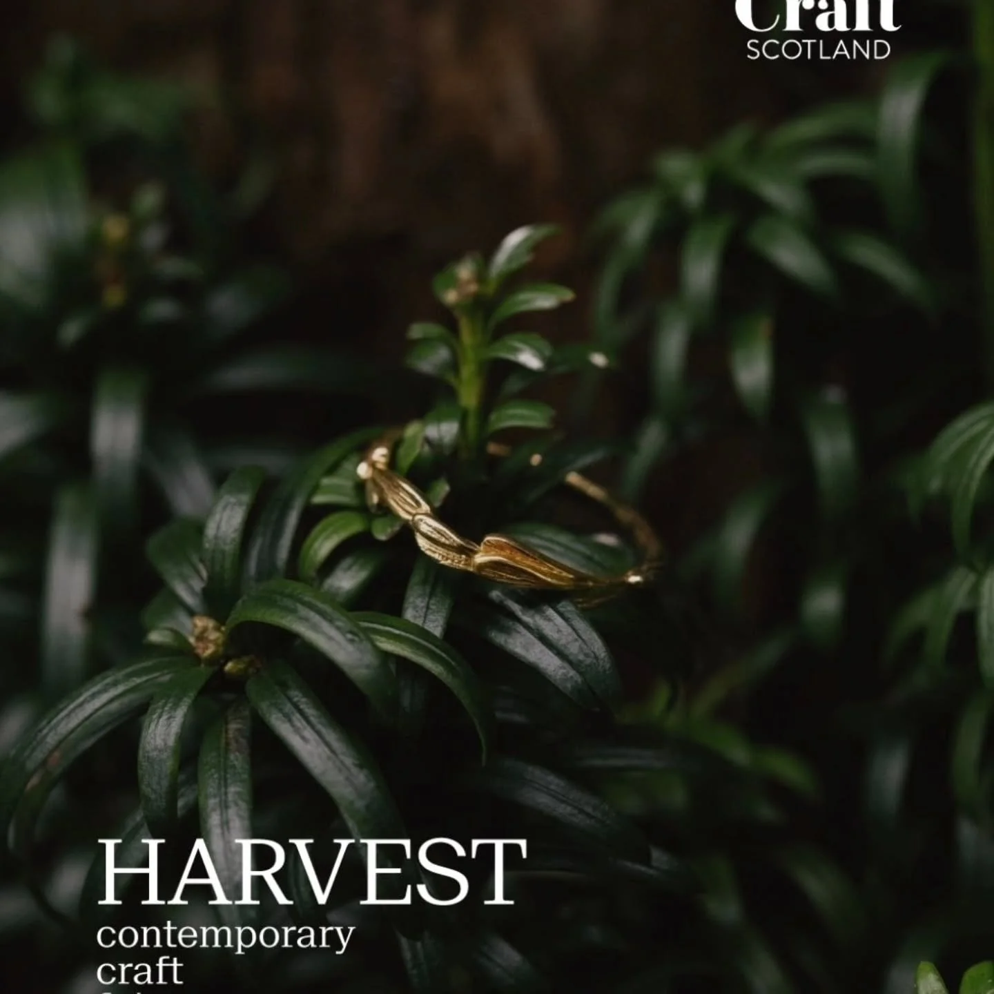 At the weekend I was through in Edinburgh delivering a selection of my 9ct gold jewels to HARVEST. I can't wait to see everyone's work in the bright and spacious exhibition space! 

HARVEST: Contemporary Craft Fair is coming to Edinburgh&rsquo;s City