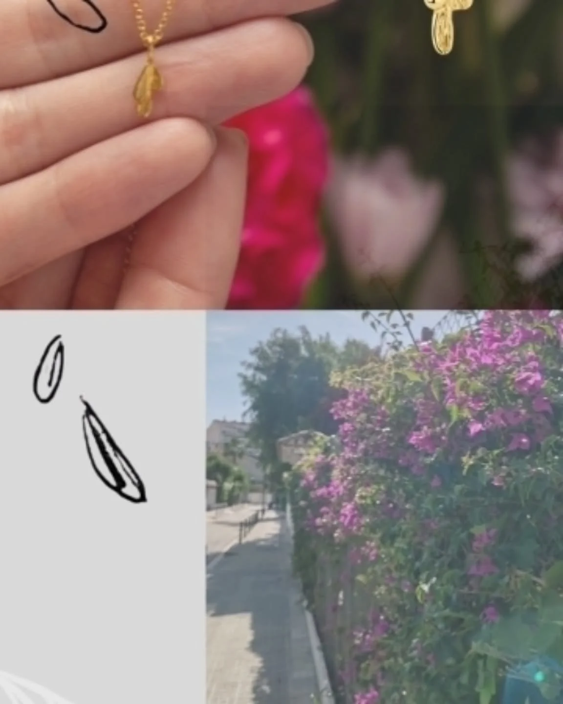 Pops of brightly coloured petals