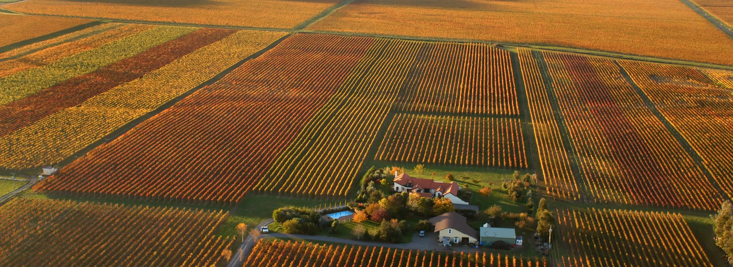 Hawkes Bay 2016 Vintage Update