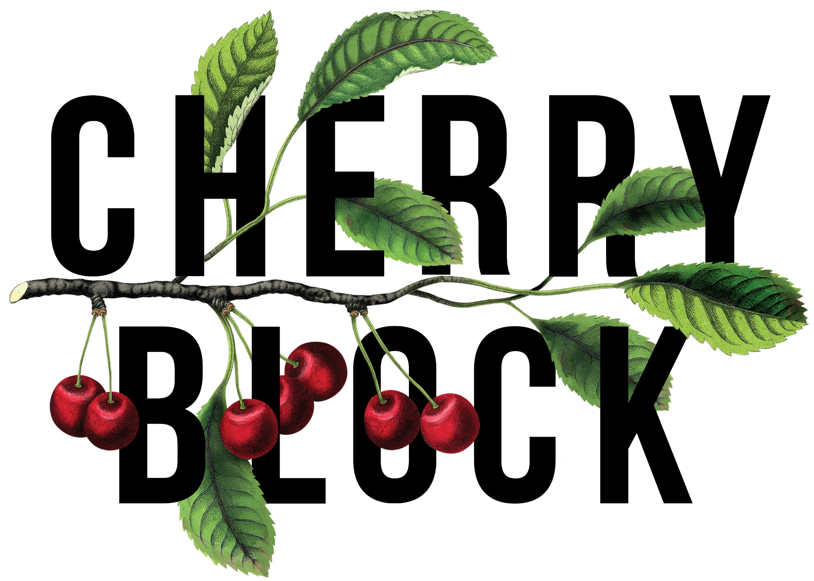 cherry-block-logo - medium.png