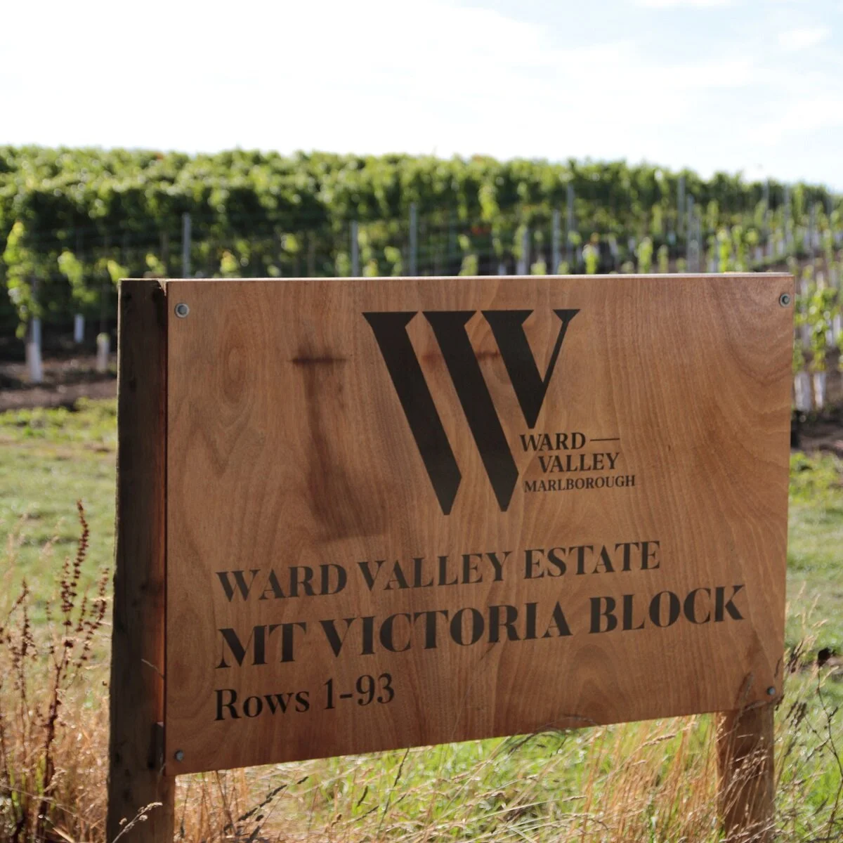 2019 Ward Harvest 1116.JPG