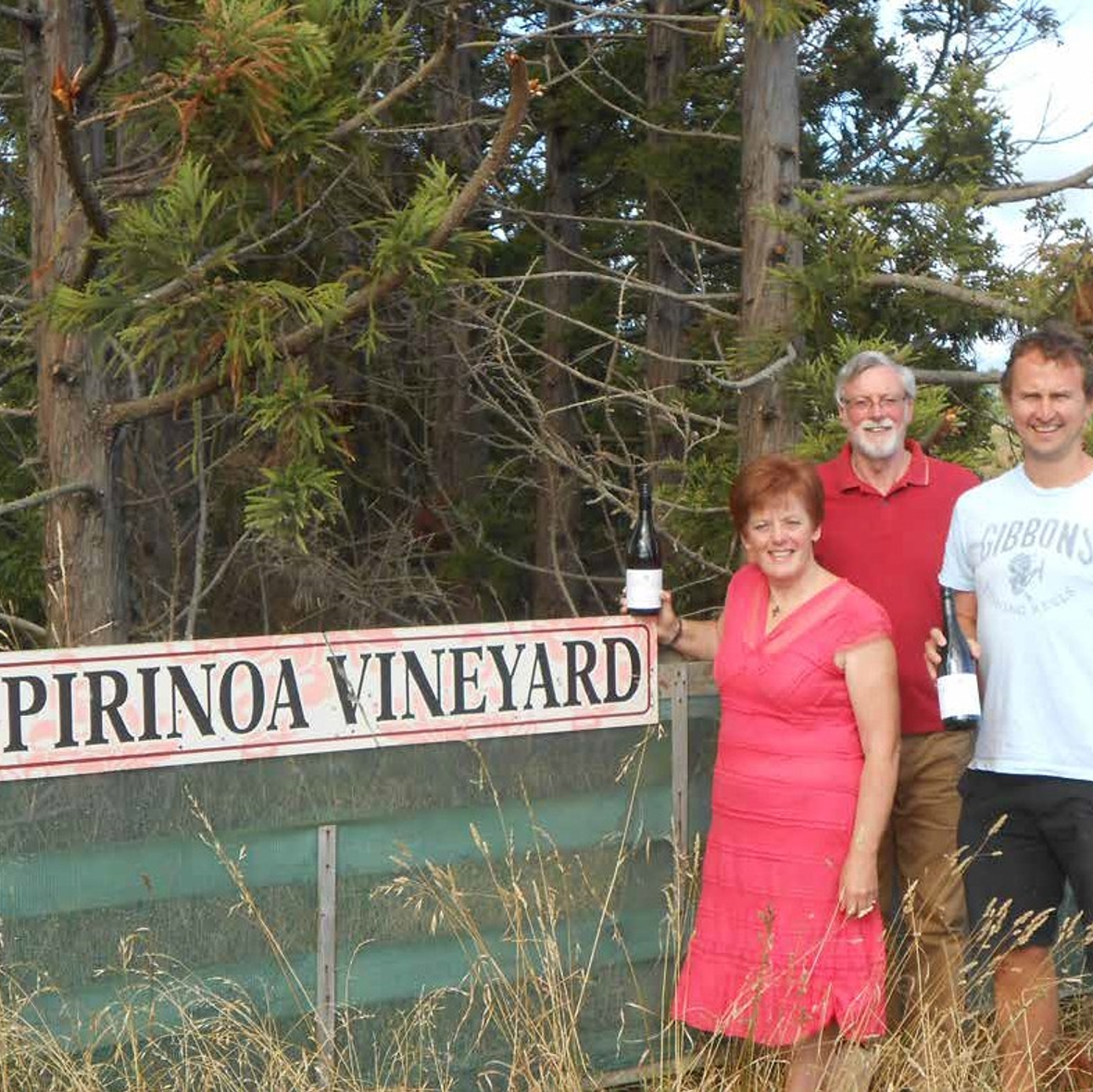 Pirinoa Road Vineyard.png