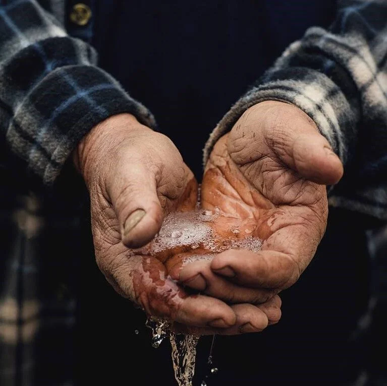 GT Hands Chardonnay.jpg