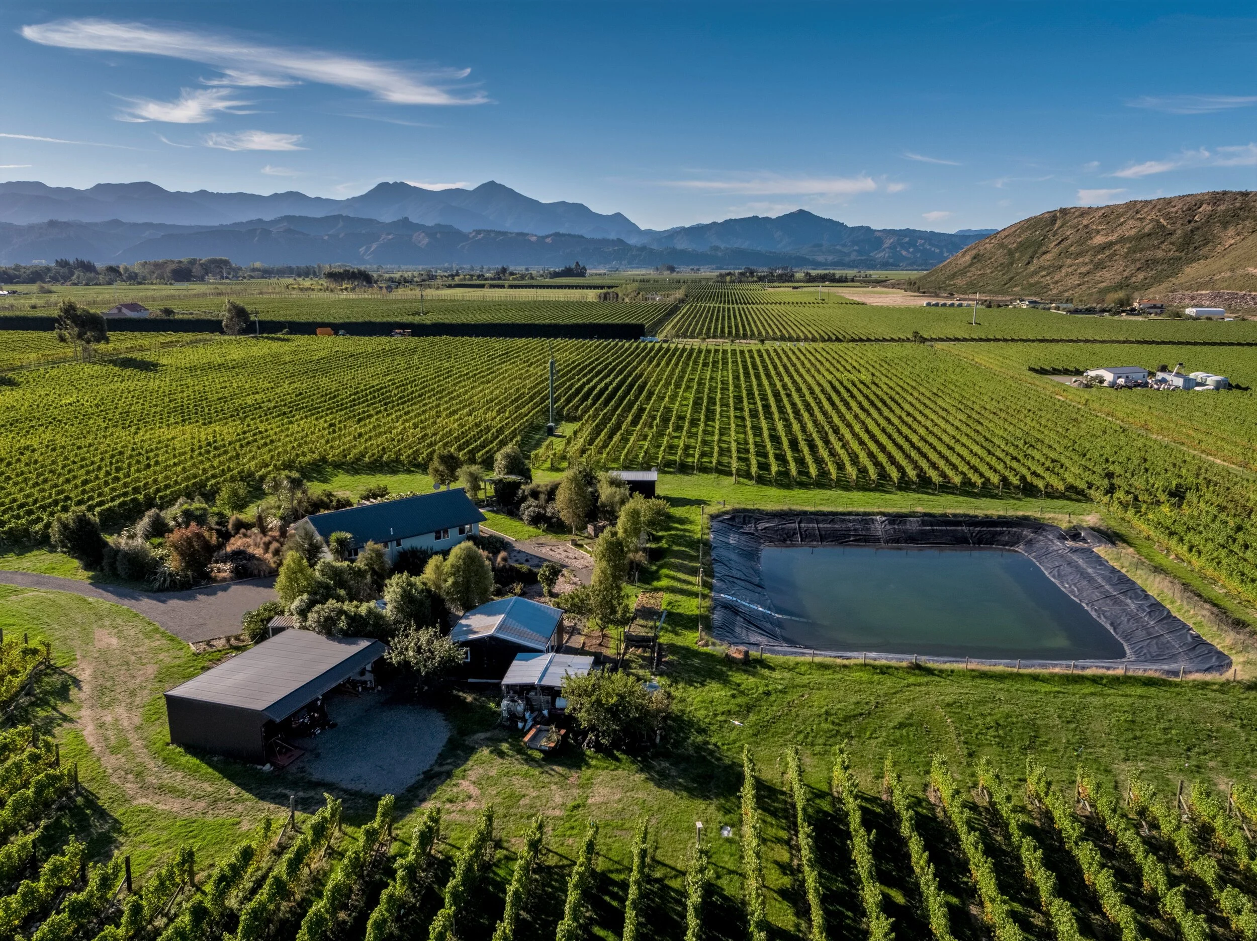 Snapper Rock Vineyard 03.jpg