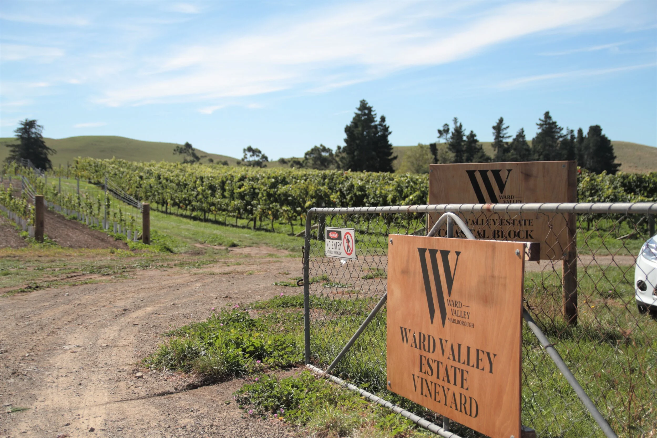 2019 Ward Harvest 1004.JPG