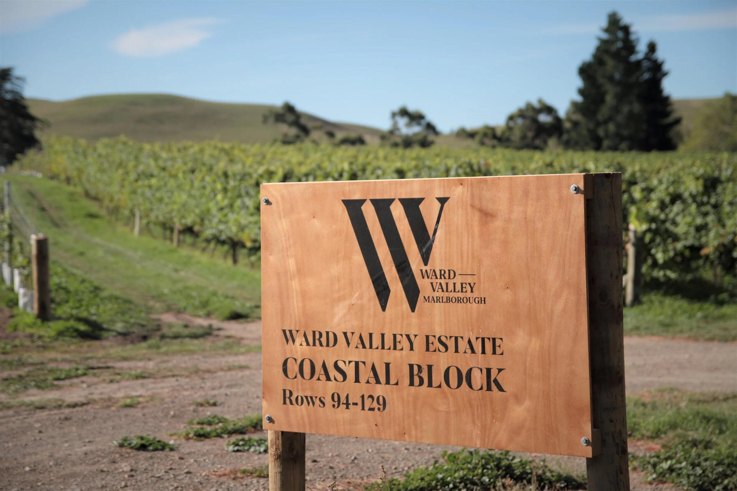 2019 Ward Harvest 1127.JPG