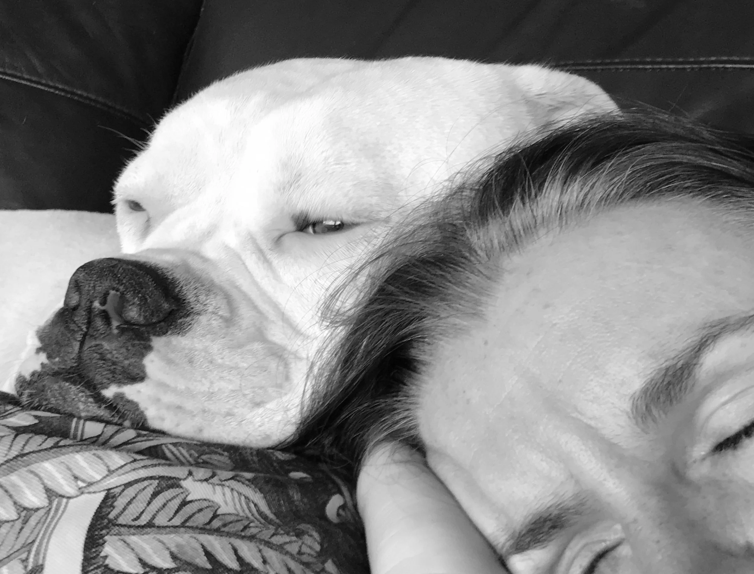 Pet Peeve: Cuddling with your canine might be cute but there's much better ways to make sure you get a good night's sleep.