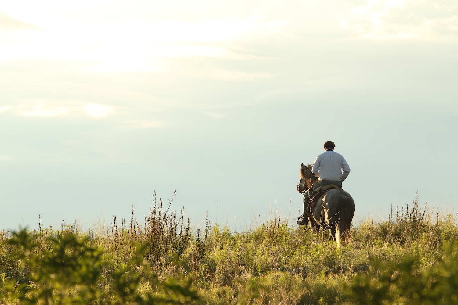 Horseback Riding in the Córdoba Countryside