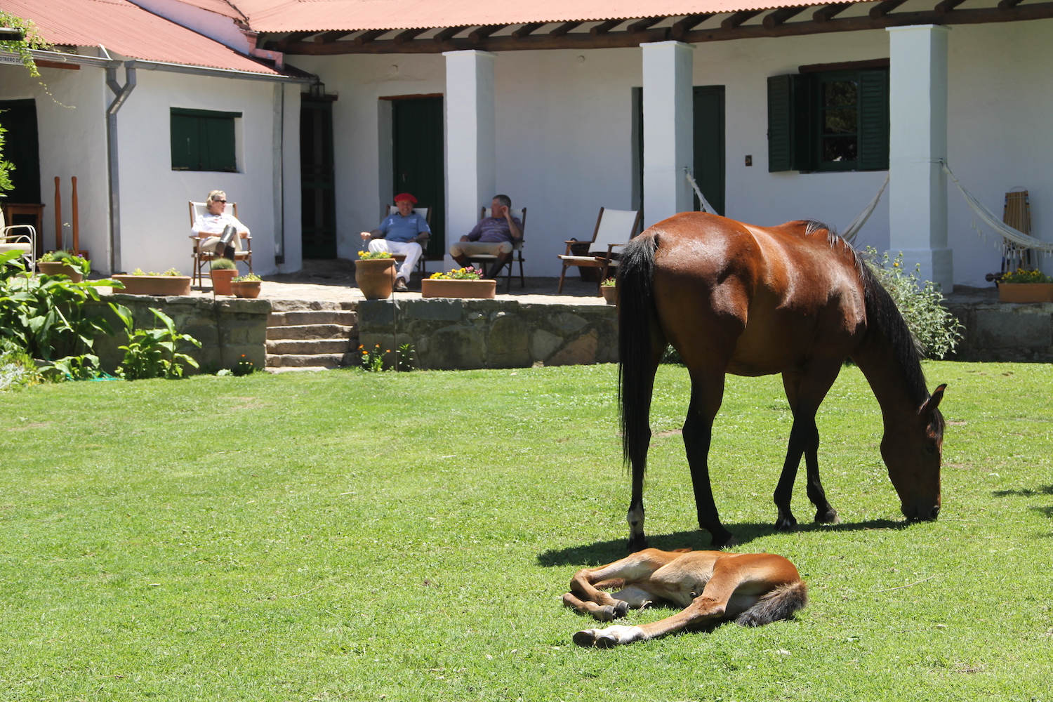 In the Garden at Estancia Los Potreros Argentina