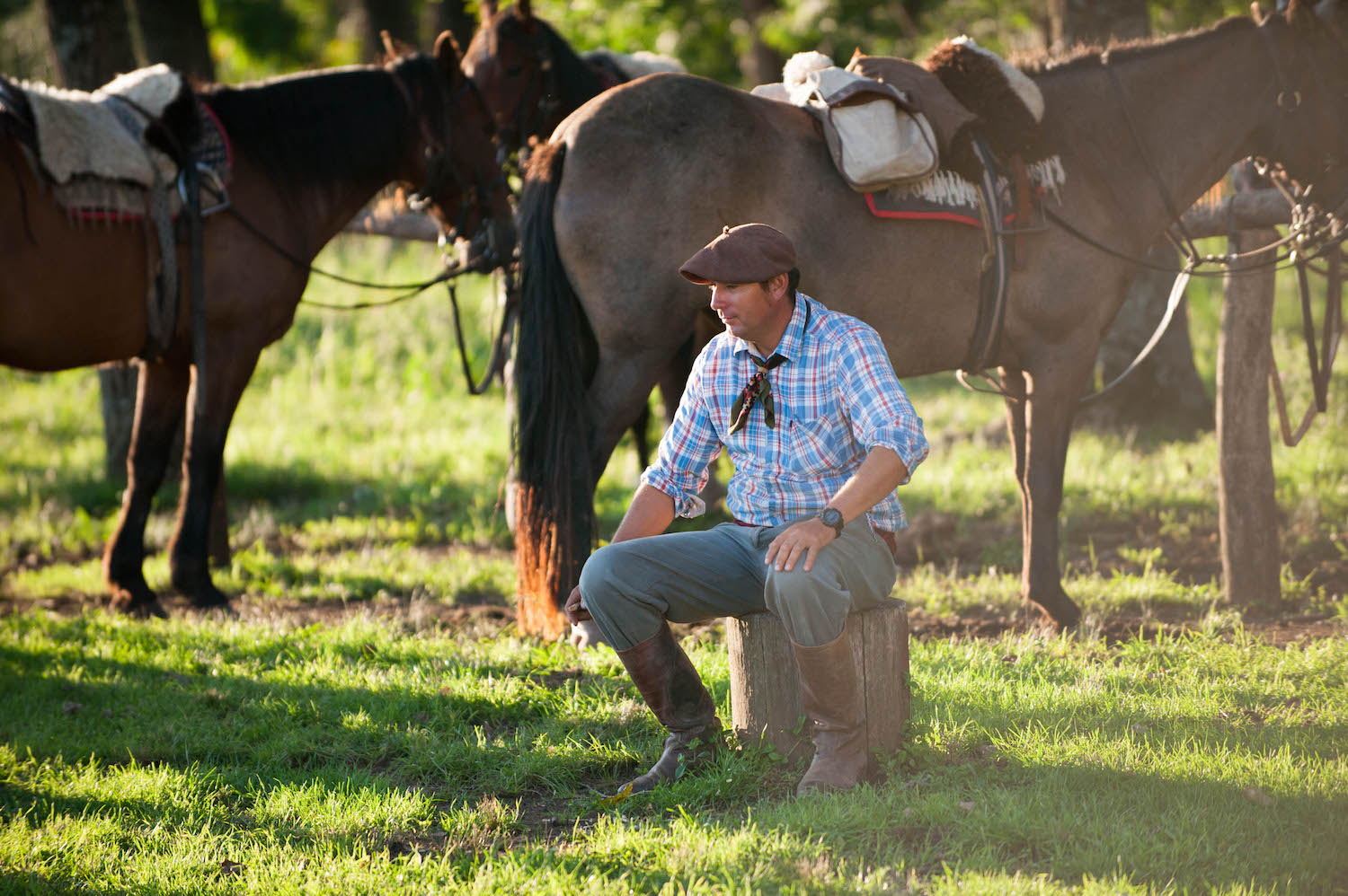 Gaucho Relaxing with His Horses