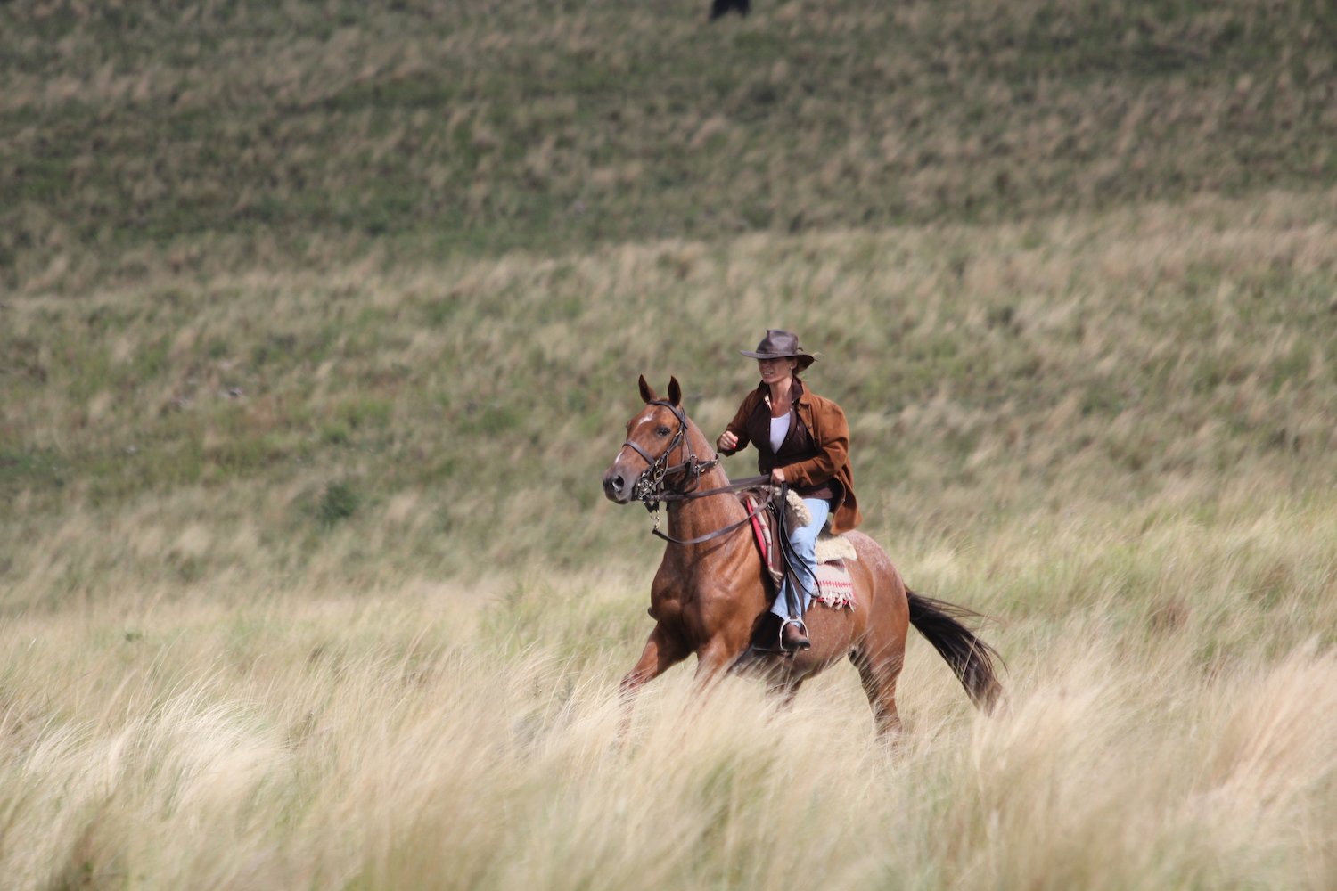 Horse Riding through Rural Argentina