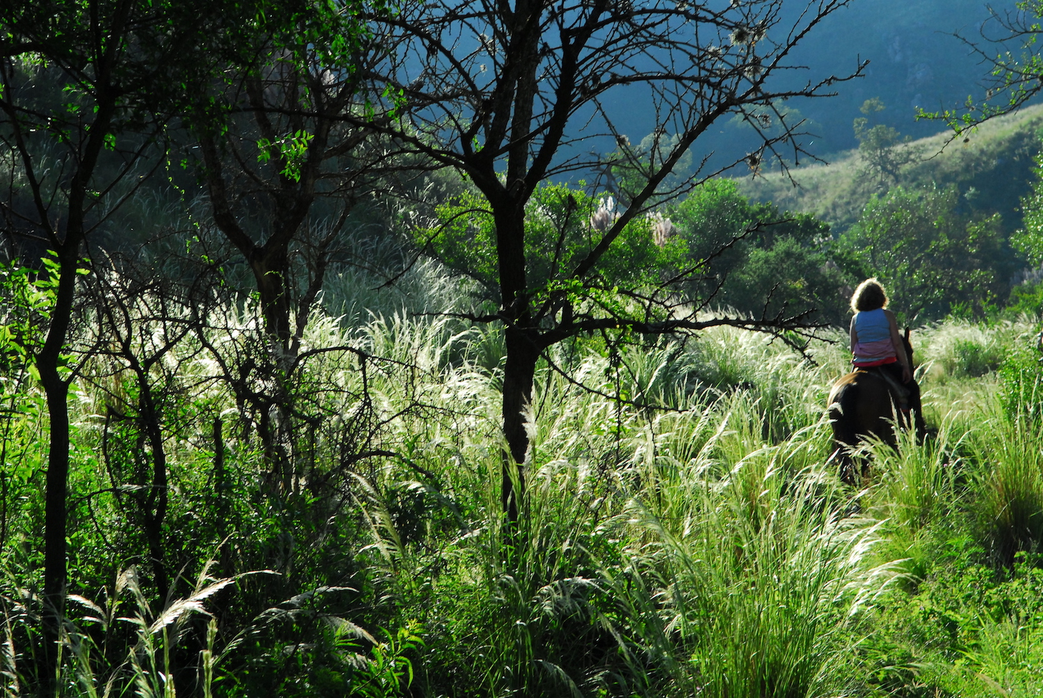 Trail Riding Through the Grasslands of Argentina