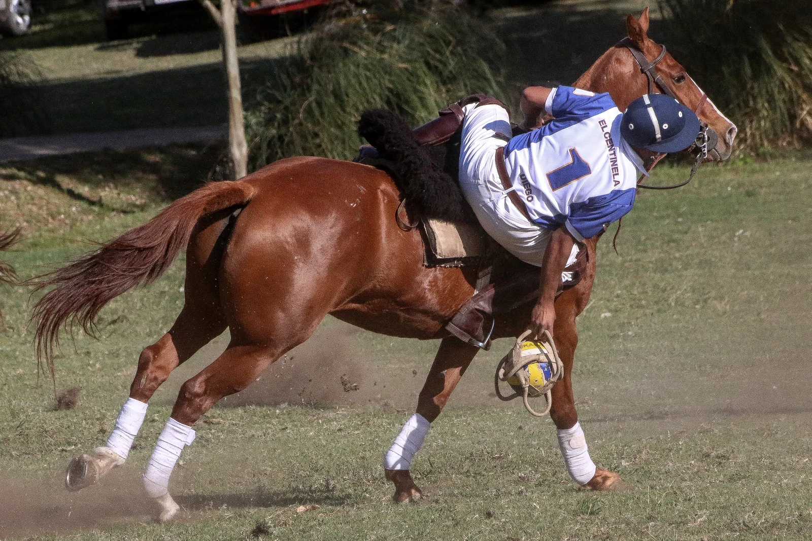 lasso-4.jpg