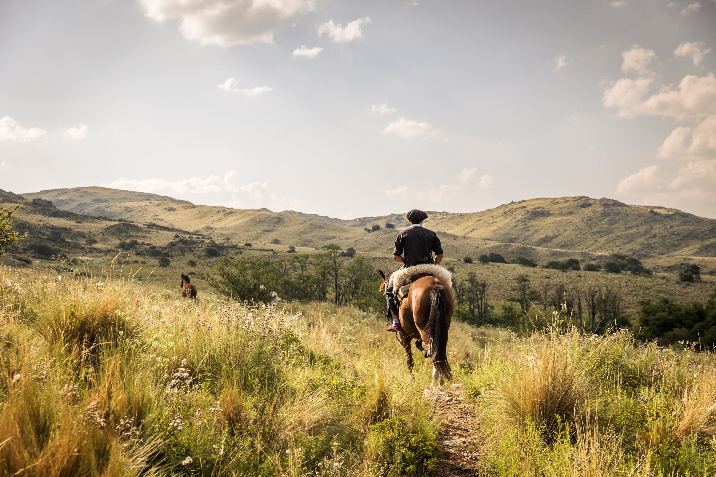 Ride with the Gauchos