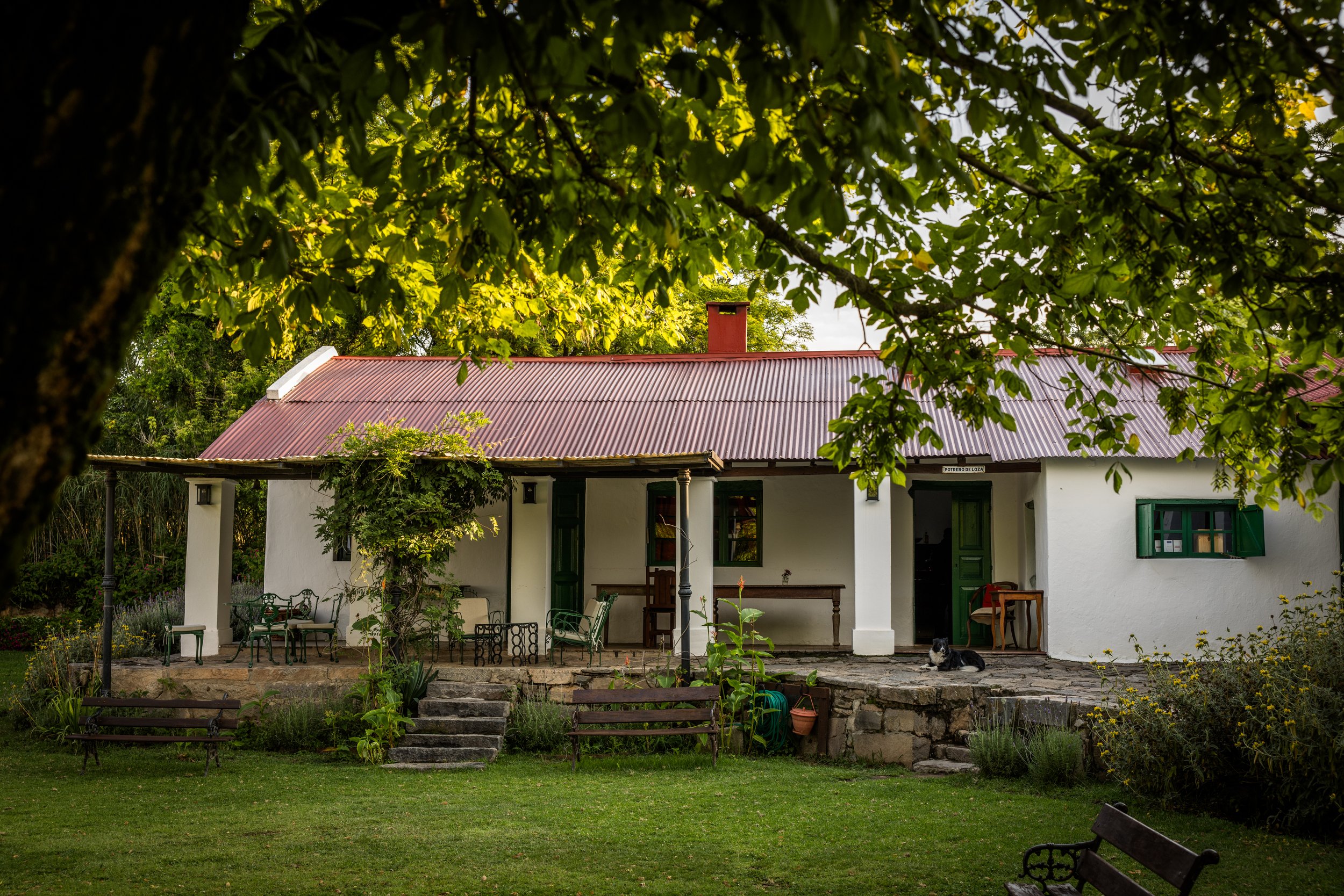 The Main House - Loza