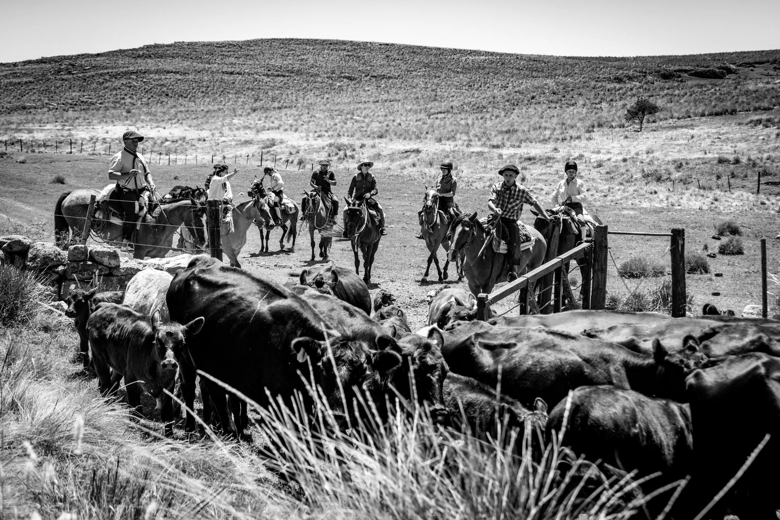 The Gauchos of Estancia Los Potreros