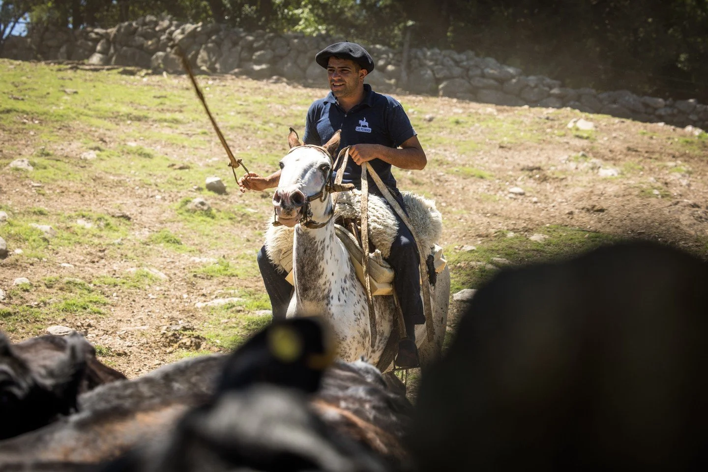 Yoni and Mini Falda in action at the corral, showcasing teamwork, skill, and the daily rhythm of life on the estancia. Whether guiding the herd or managing the horses, moments like these highlight the harmony between rider and mount.