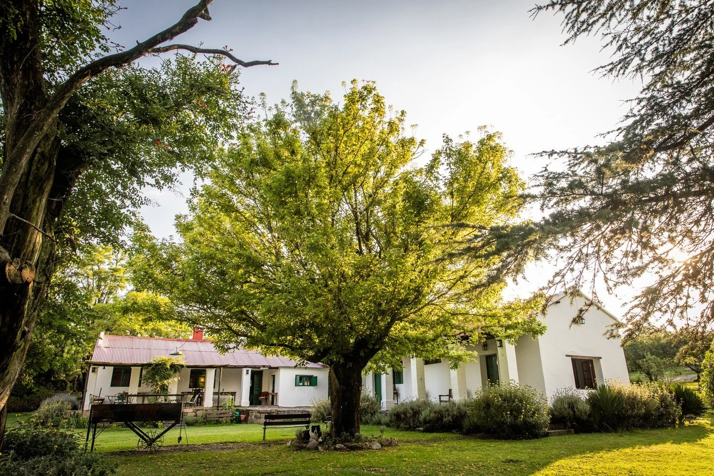 After recent rains, the estancia has been transformed into a vibrant, bright green landscape. The grass is lush, the trees are in full bloom, and every corner of Los Potreros feels alive with color and growth.
Photo @anyacampbellphotography