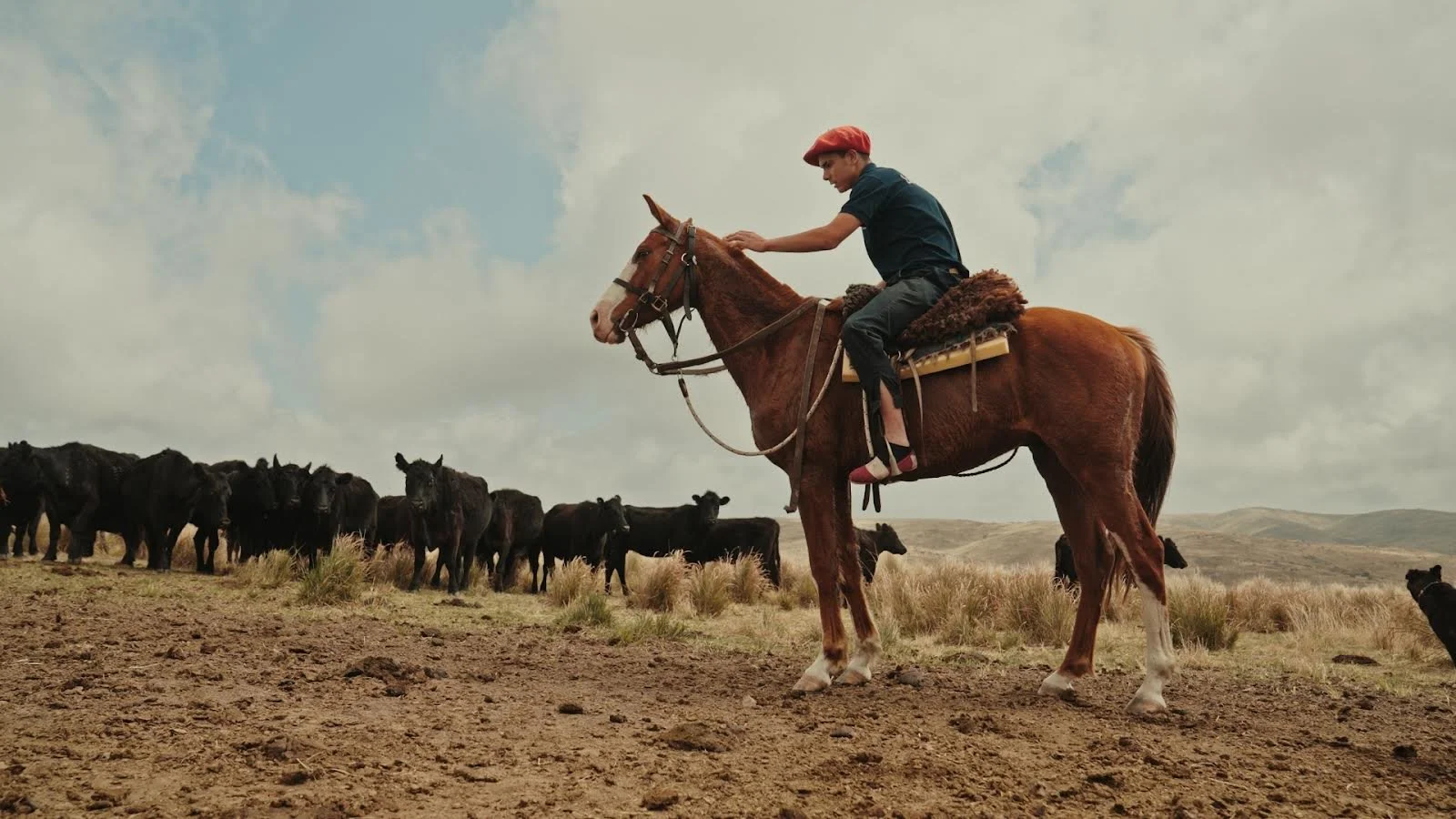 Heritage, Habitat, and Heart: The Farming Philosophy of Los Potreros