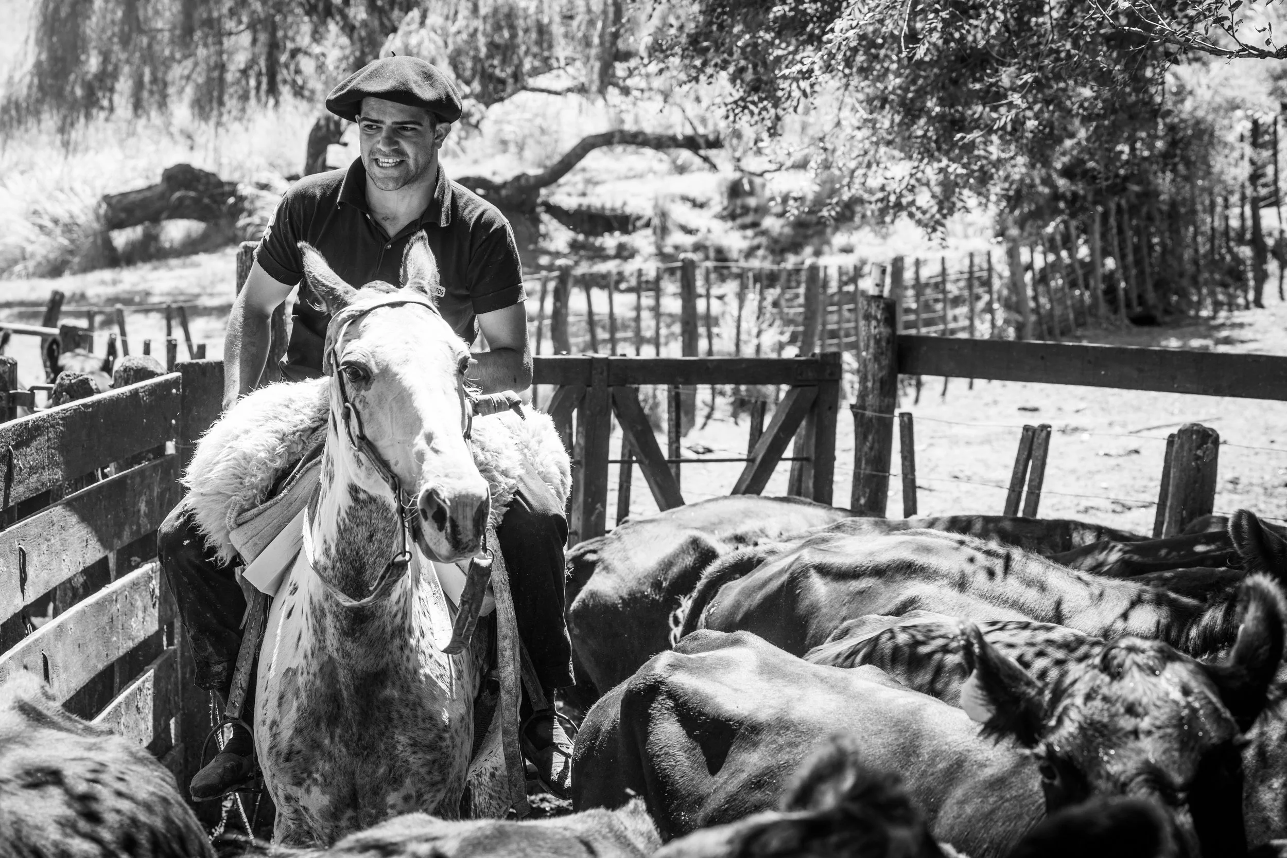 The Living Legacy of the Gaucho at Estancia Los Potreros