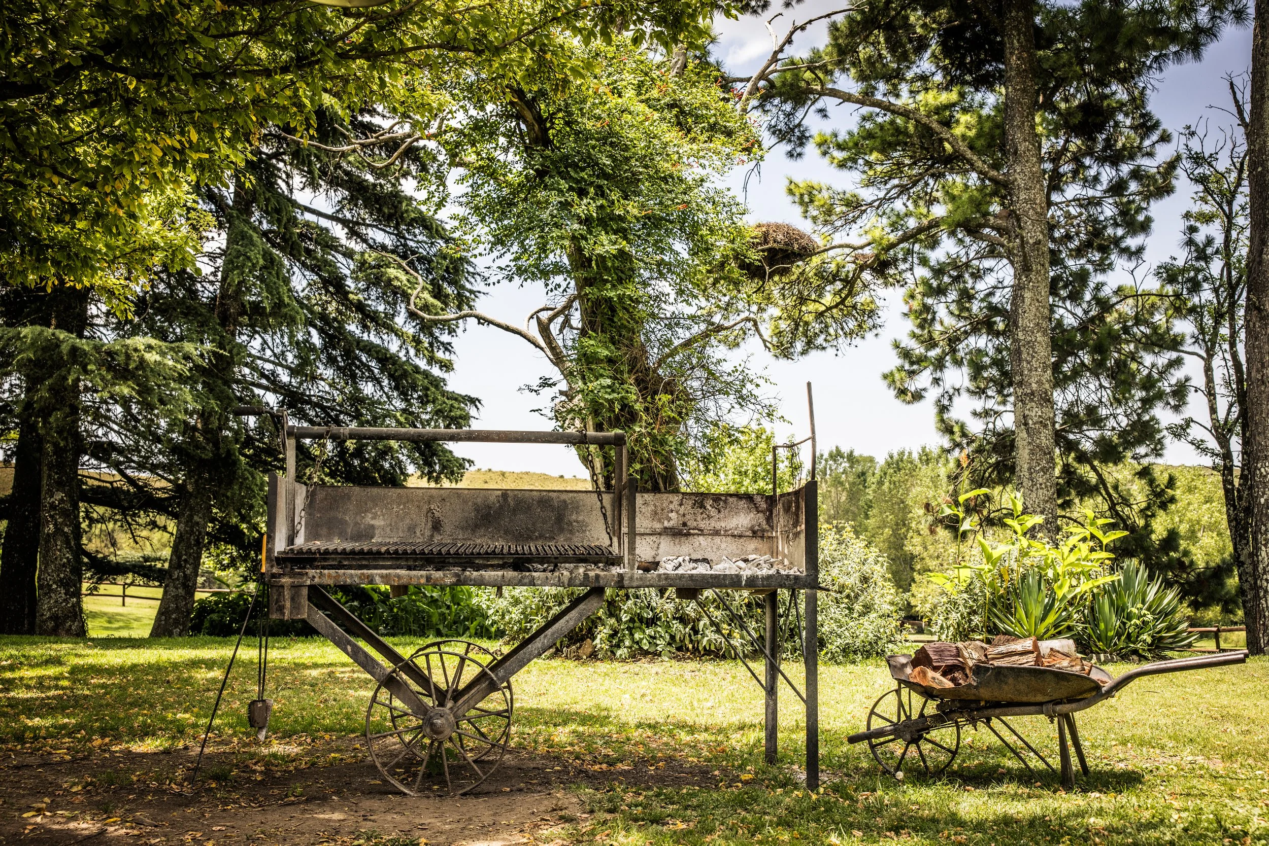 An Ode to the Asado: The Heart of Argentine Life