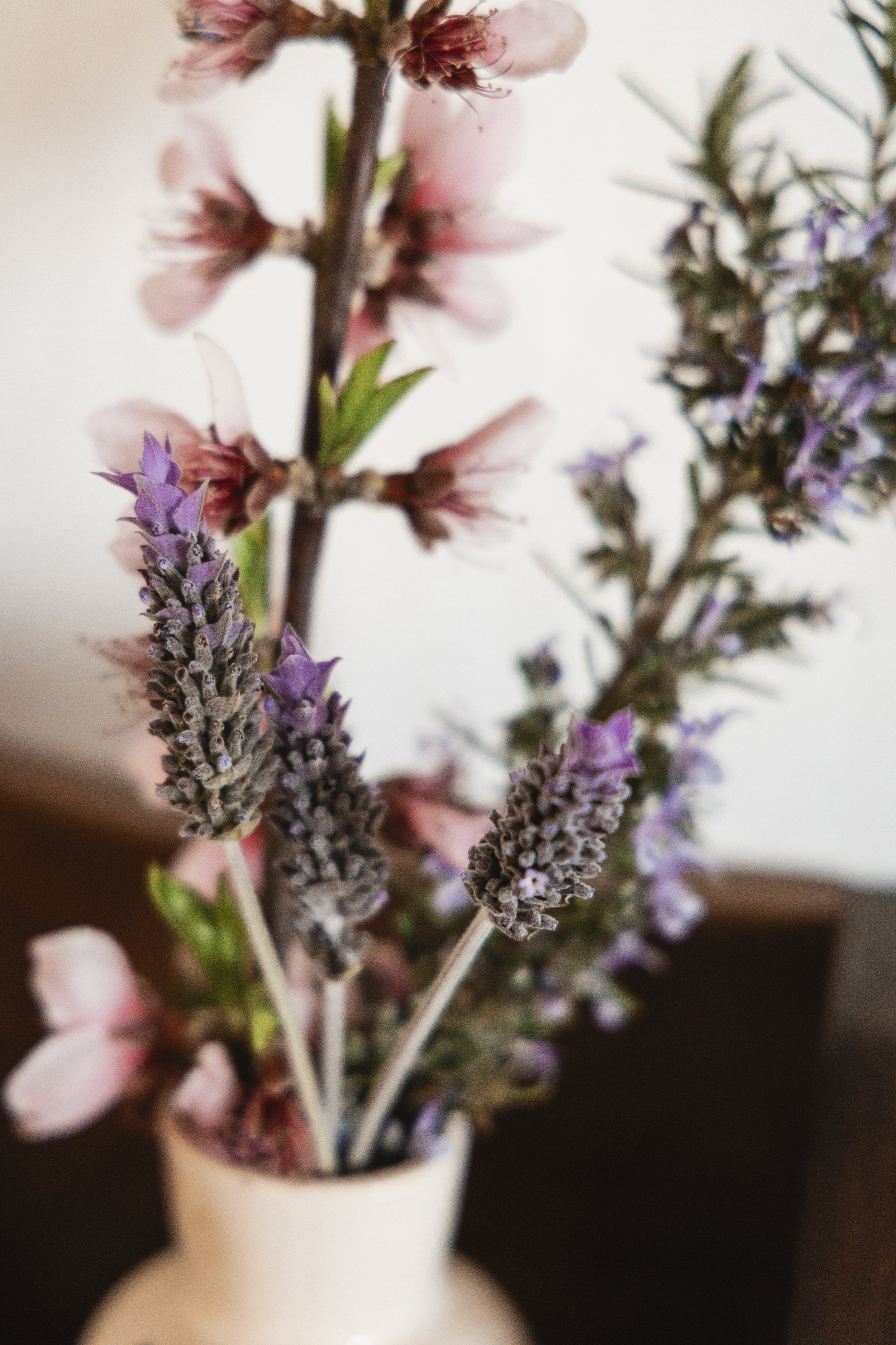 Policy to Reduce Food Waste and Promote Sustainable Food Practices