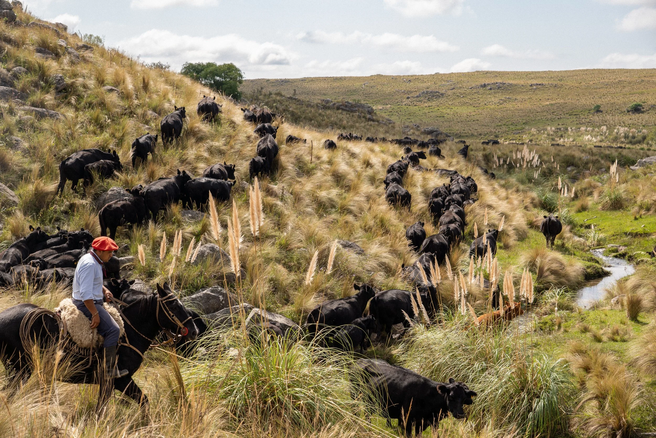 Guardians of Argentine Pride: Keeping Gaucho Culture Alive
