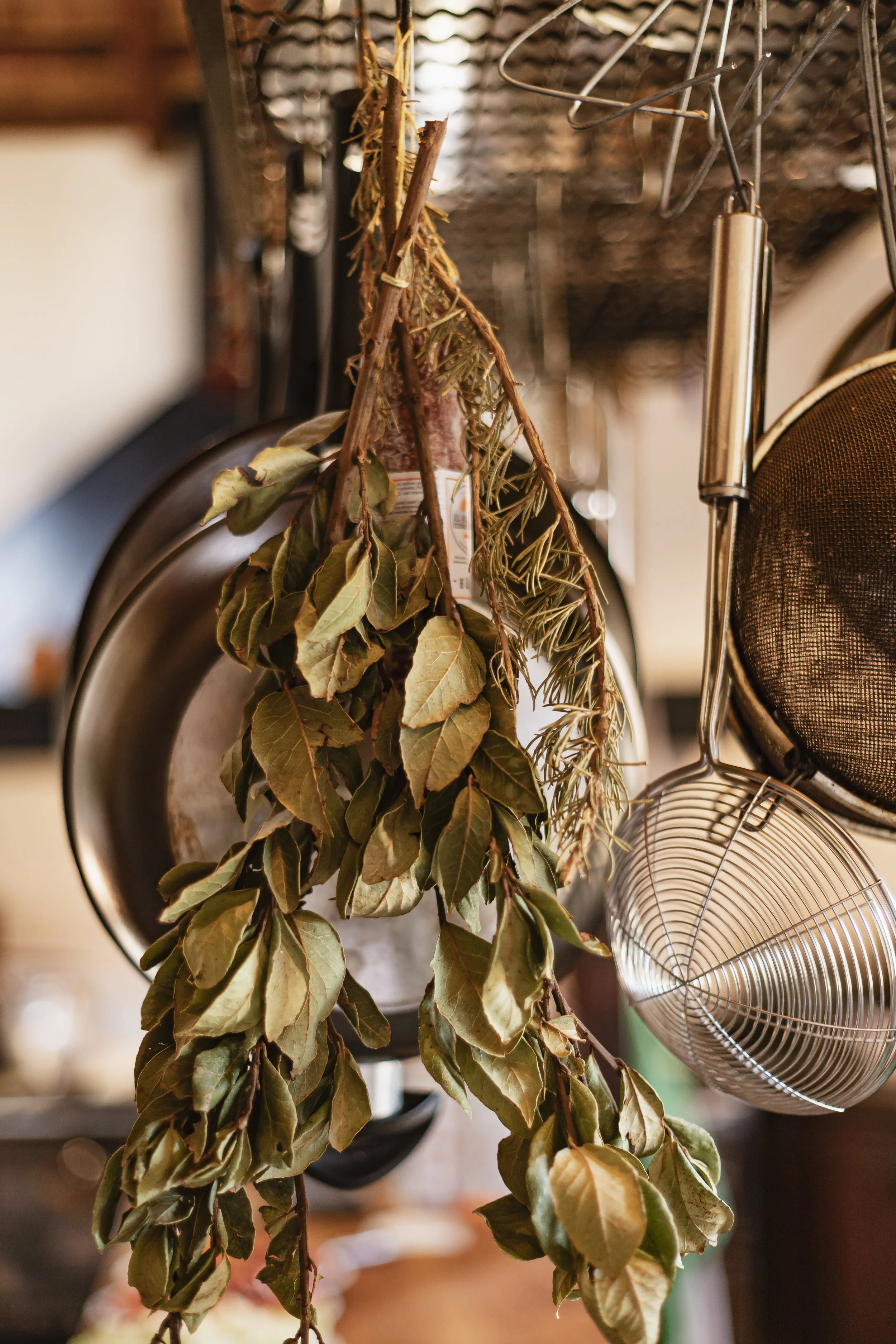 From Garden to Pantry: Drying Herbs to Enjoy All Winter Long