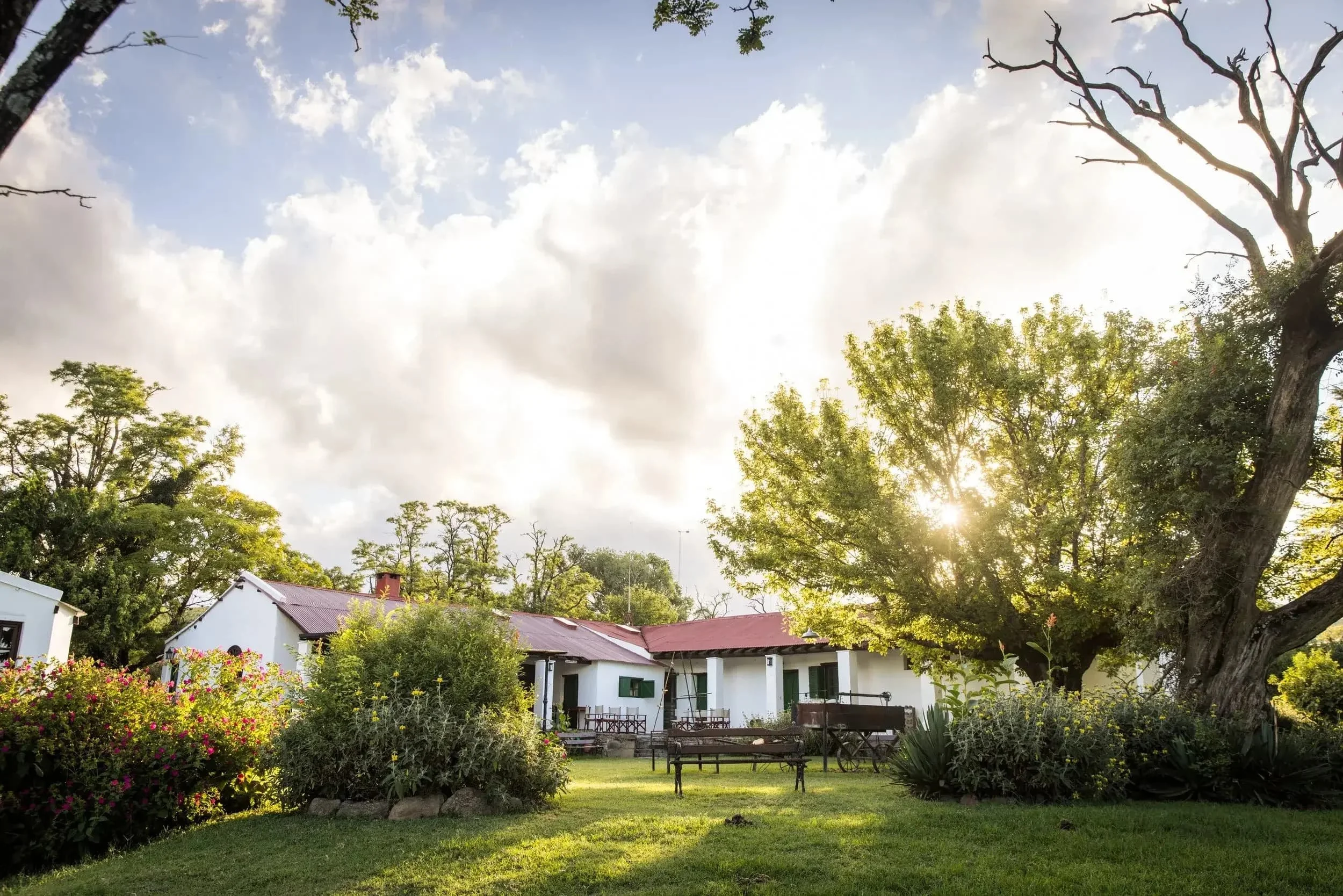 The  Main House - Loza