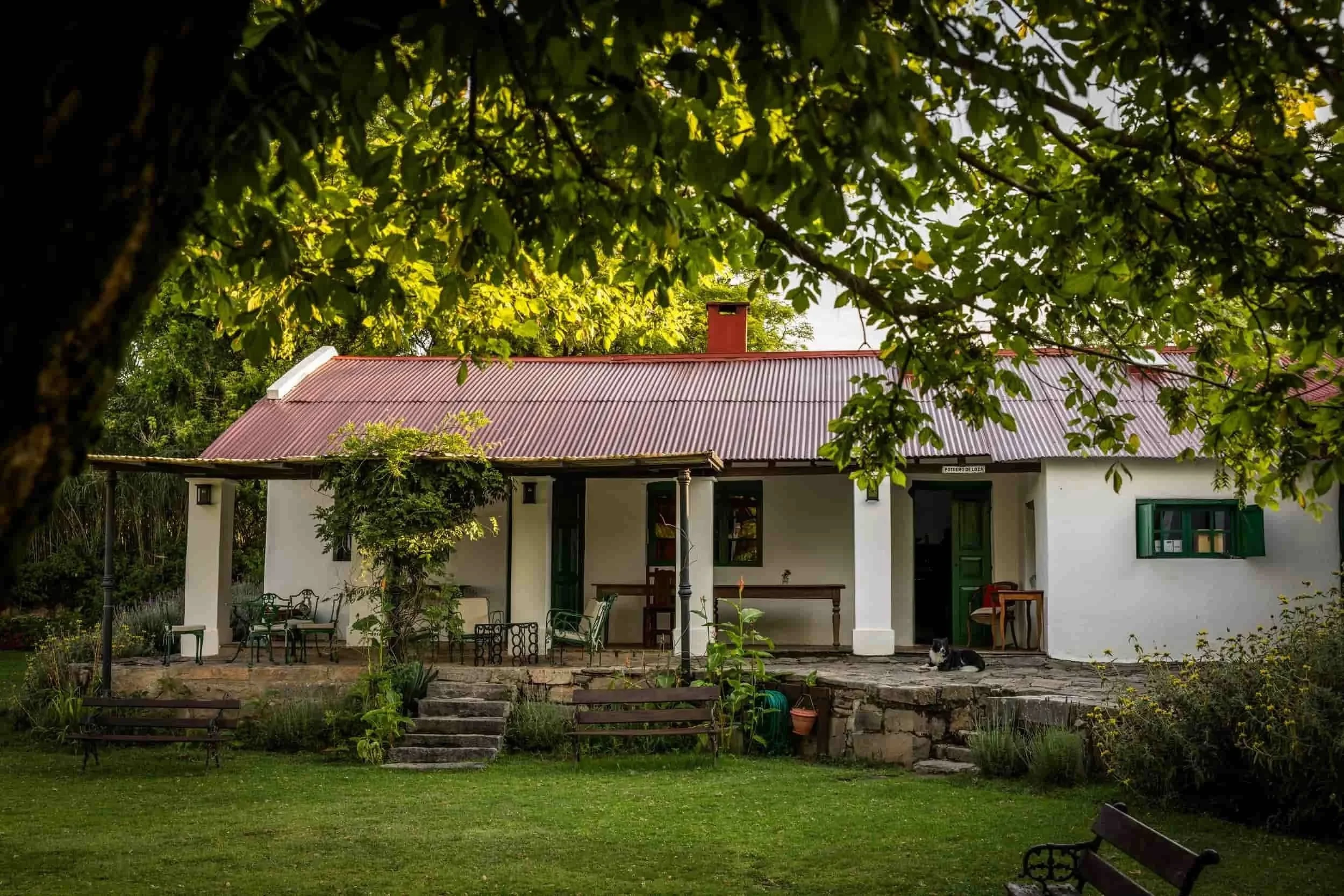 The  Main House - Loza