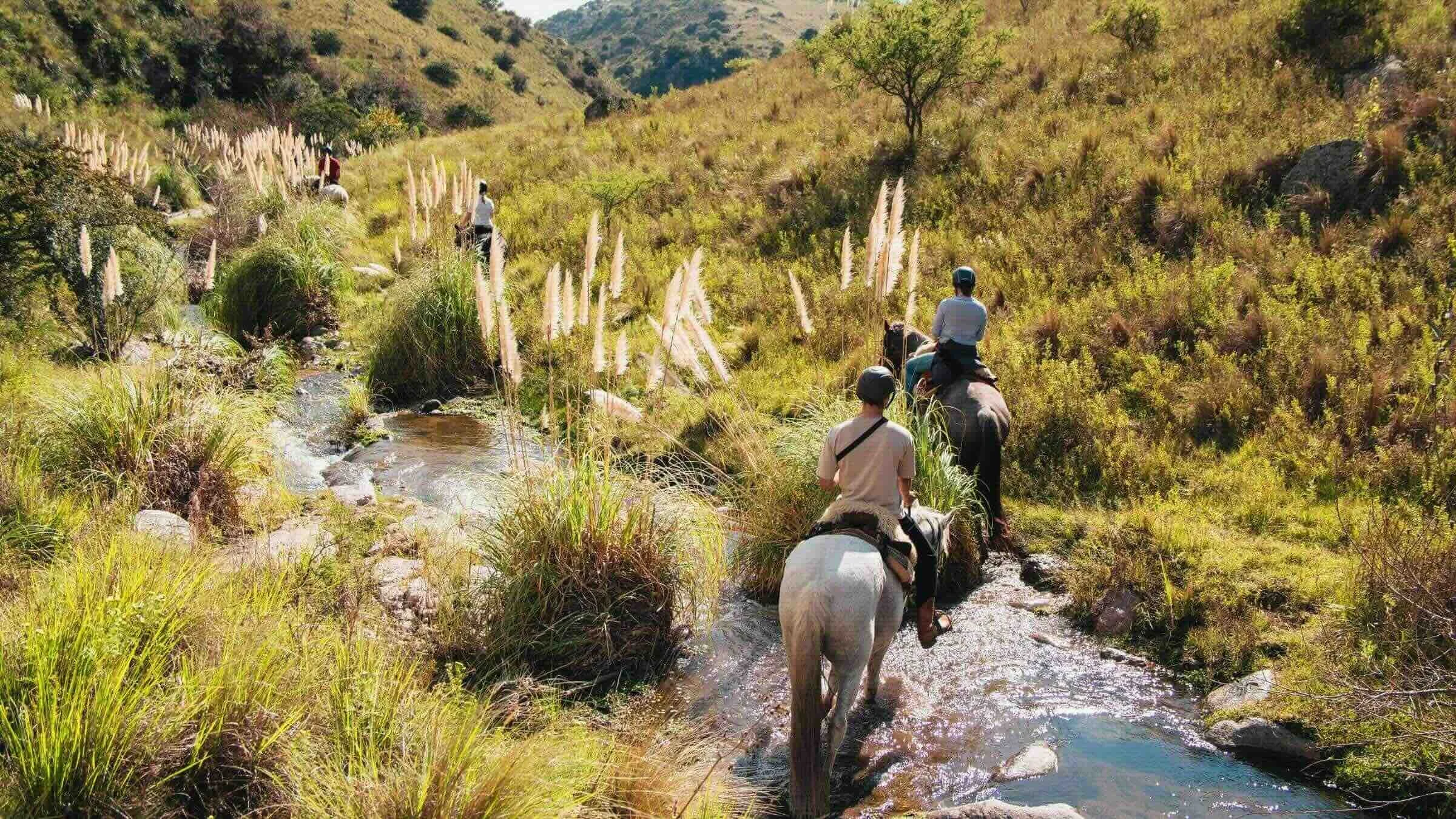 Joining The Long Run: Commitment to the 4Cs at Los Potreros