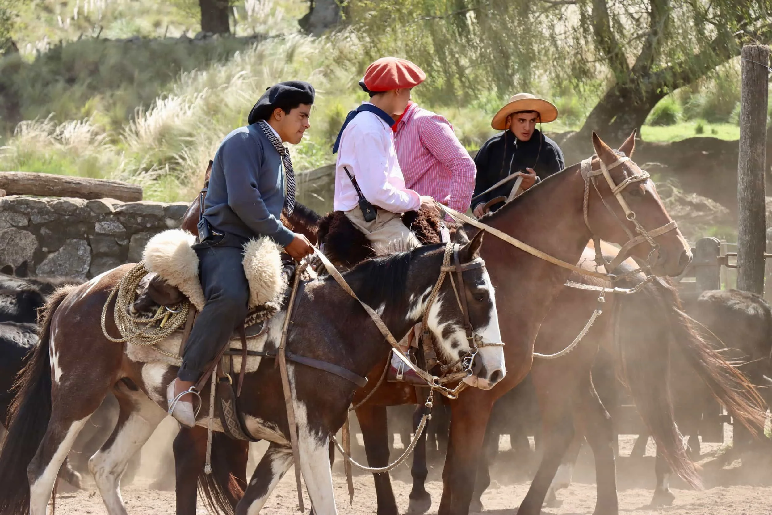 Life with the Gauchos at Estancia Los Potreros