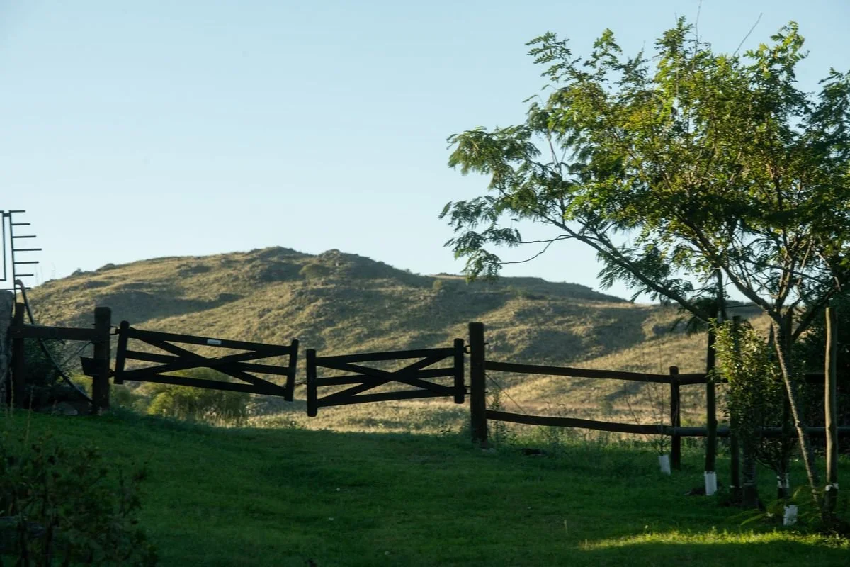 Rustic wooden gate framed by a tree and rolling hills of the Sierras Chicas at Estancia Los Potreros