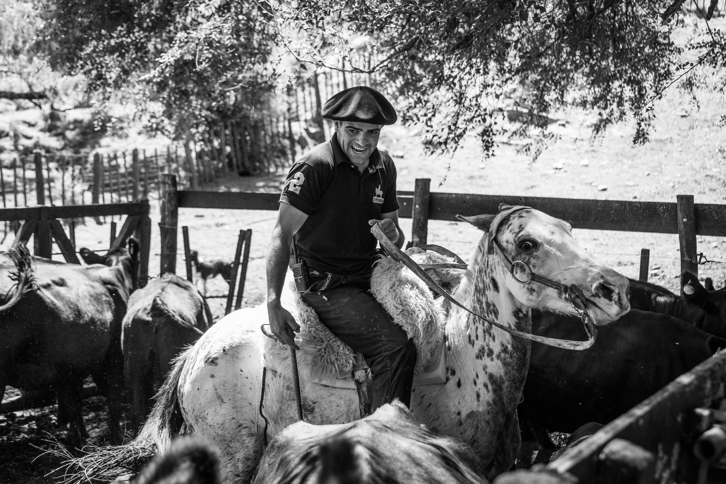 Gaucho Yoni working in the Corral