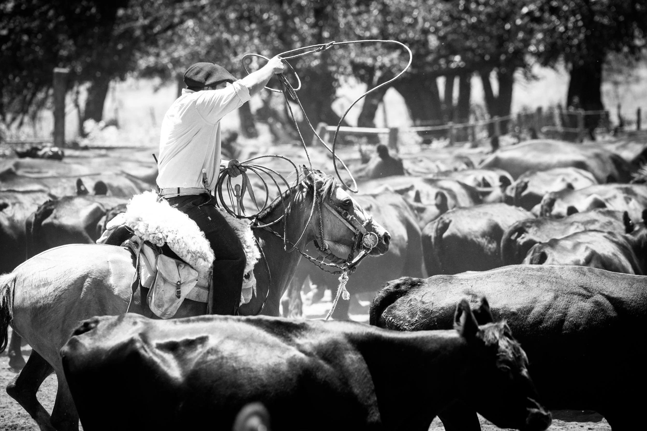 Argentine estancia heritage and gaucho traditions