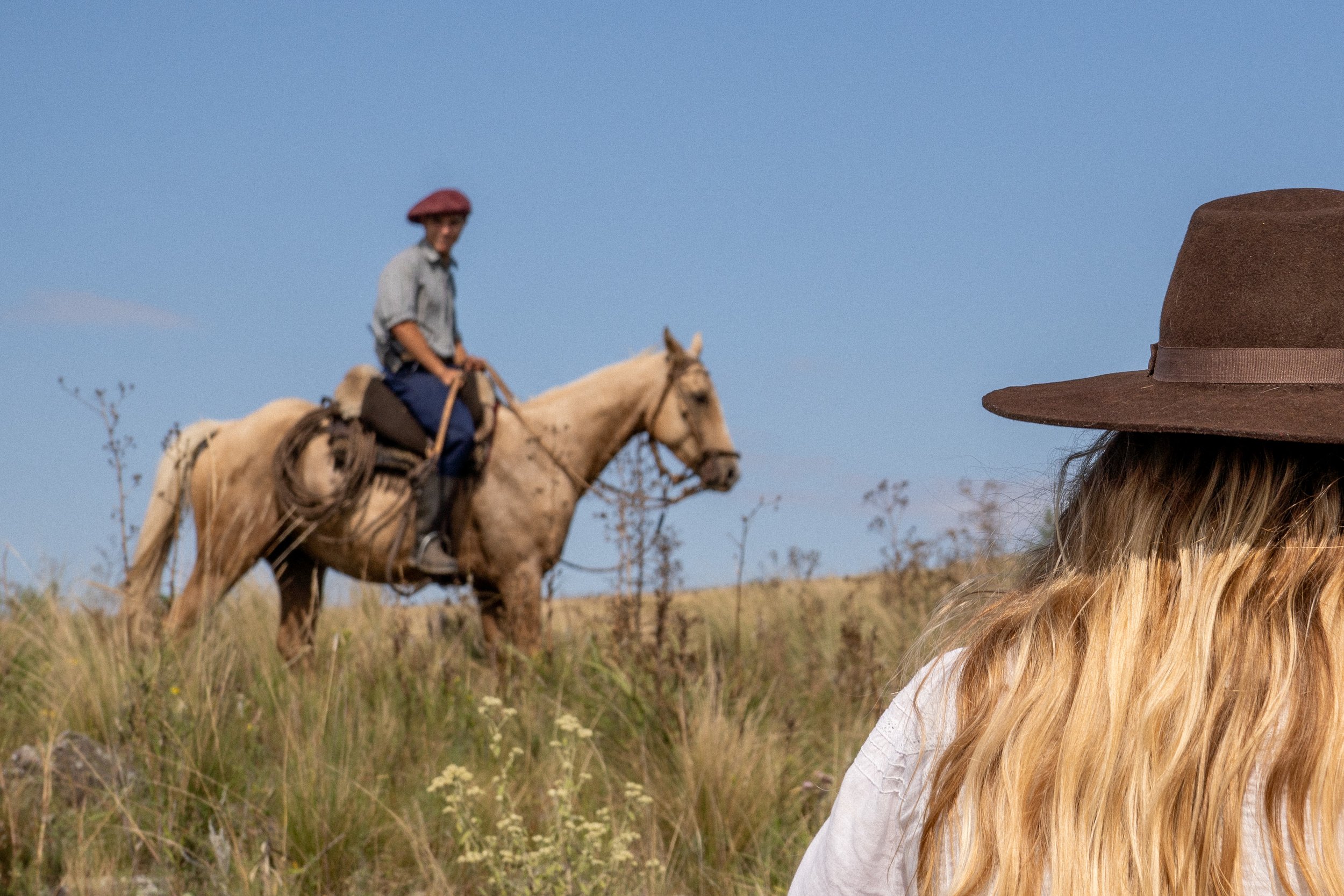 A gaucho, working on a palomino horse in the fields, in Cordoba, Argentina