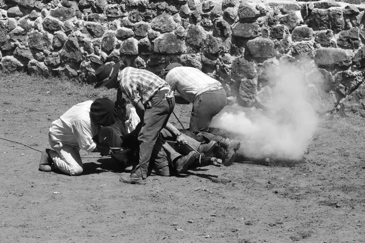 Gauchos working together to brand cattle at Estancia Los Potreros, with smoke rising during the traditional branding process