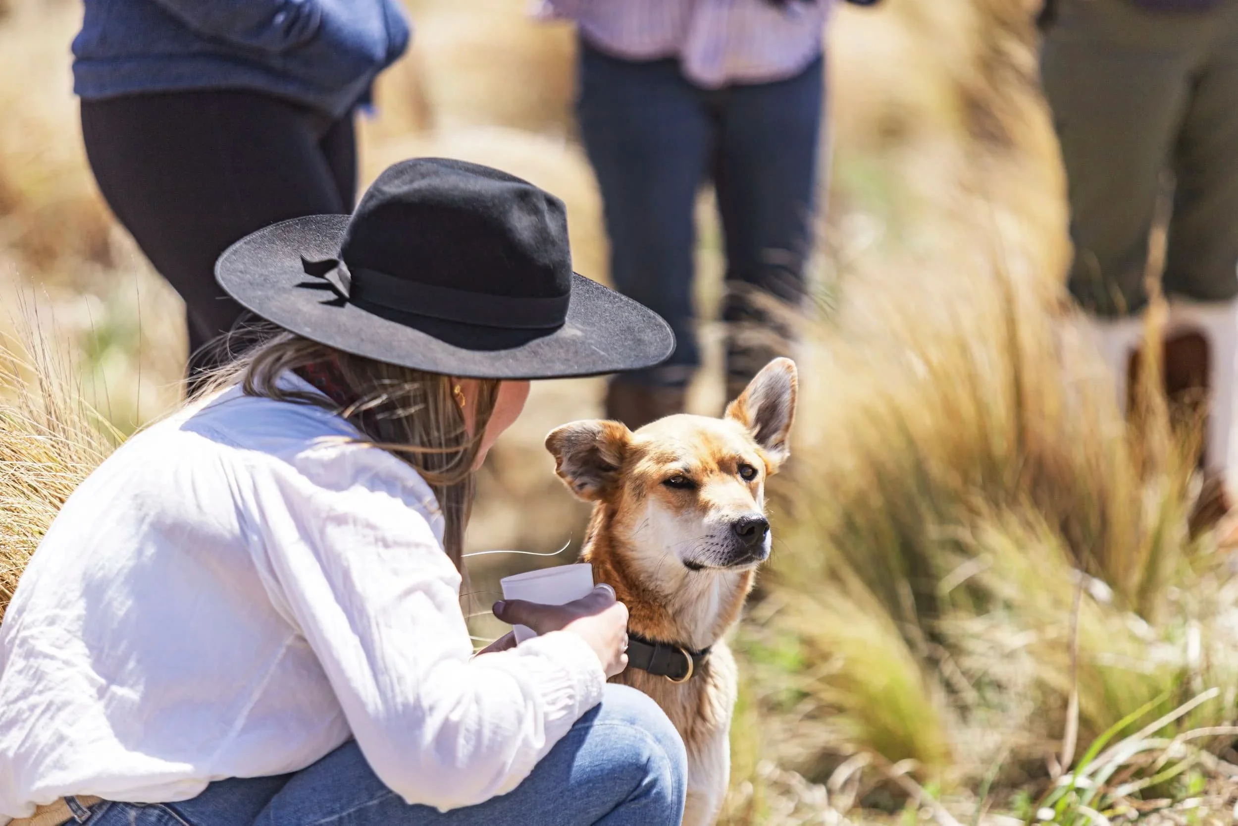 Manager Georgia and her dog out in the fields