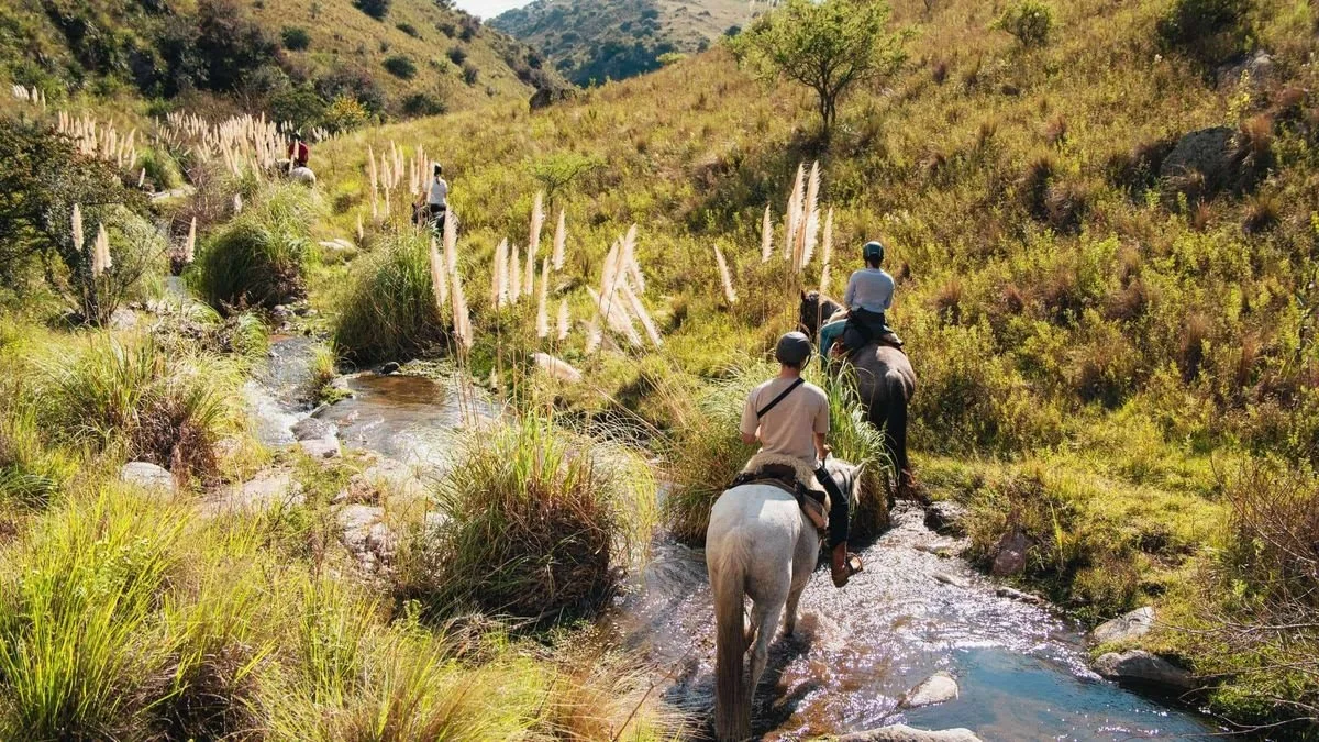 Riders on horseback crossing a stream lined with pampas grass in the Sierras Chicas at Estancia Los Potreros