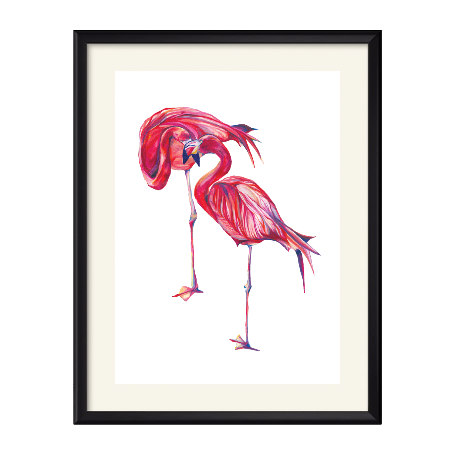 flamingos.png