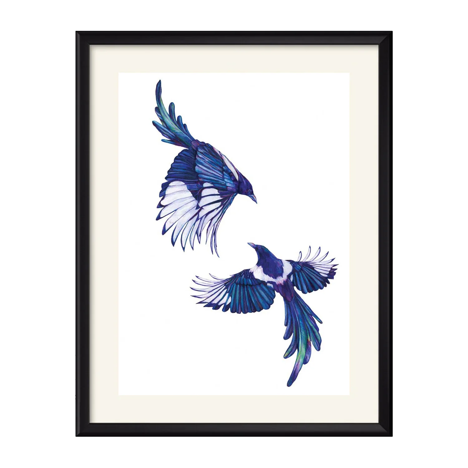 Magpies.jpg
