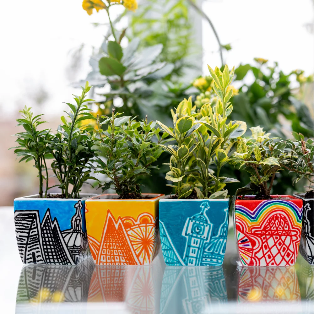 Plant pot selection.jpg