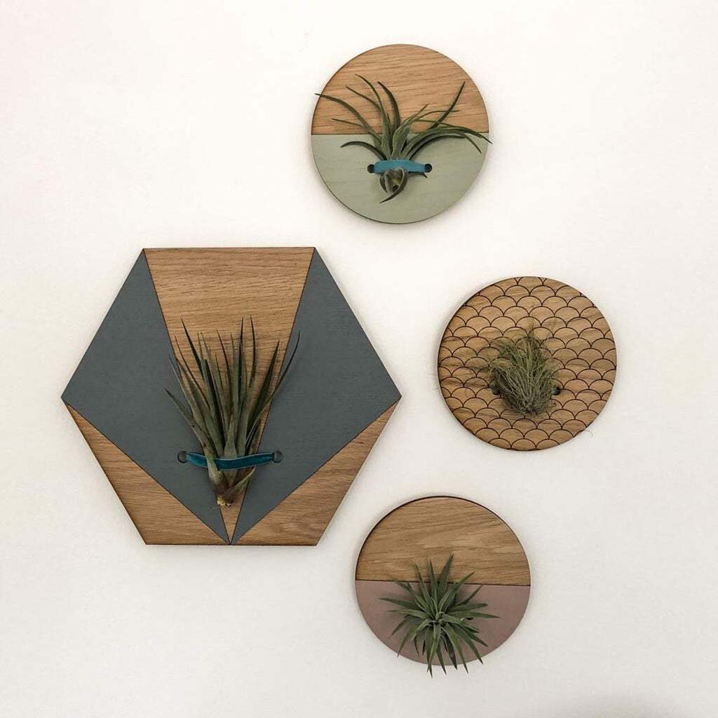 eco-style-wall-planters-for-air-plants-display copy.jpg
