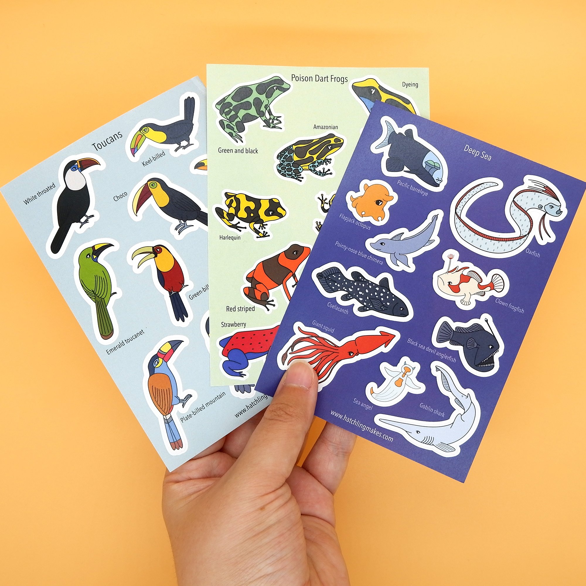 sticker sheets with hand.jpg