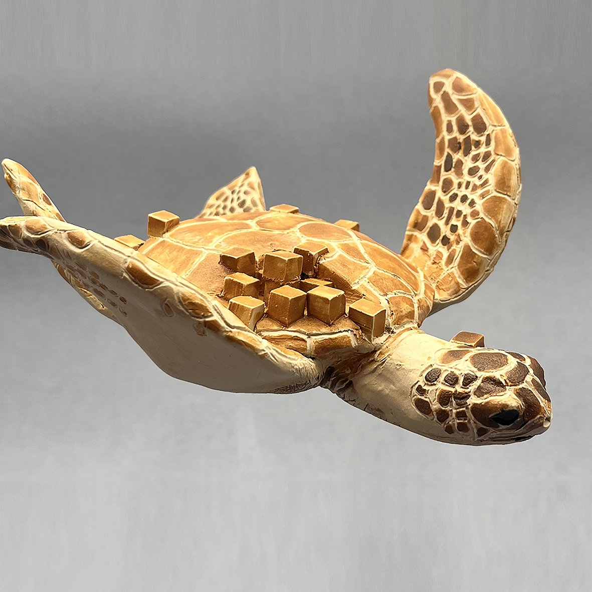 Christophe ceramics 6 - Sea turtle.jpg