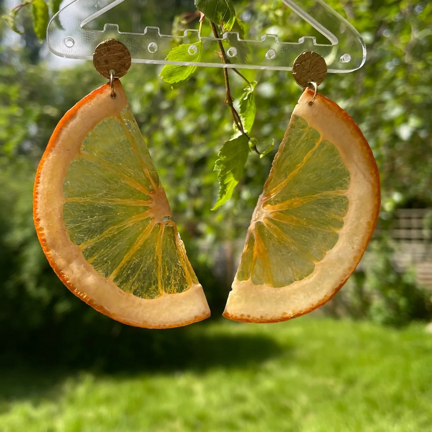 Sherice Banya Real Orange Slice Earrings.jpeg