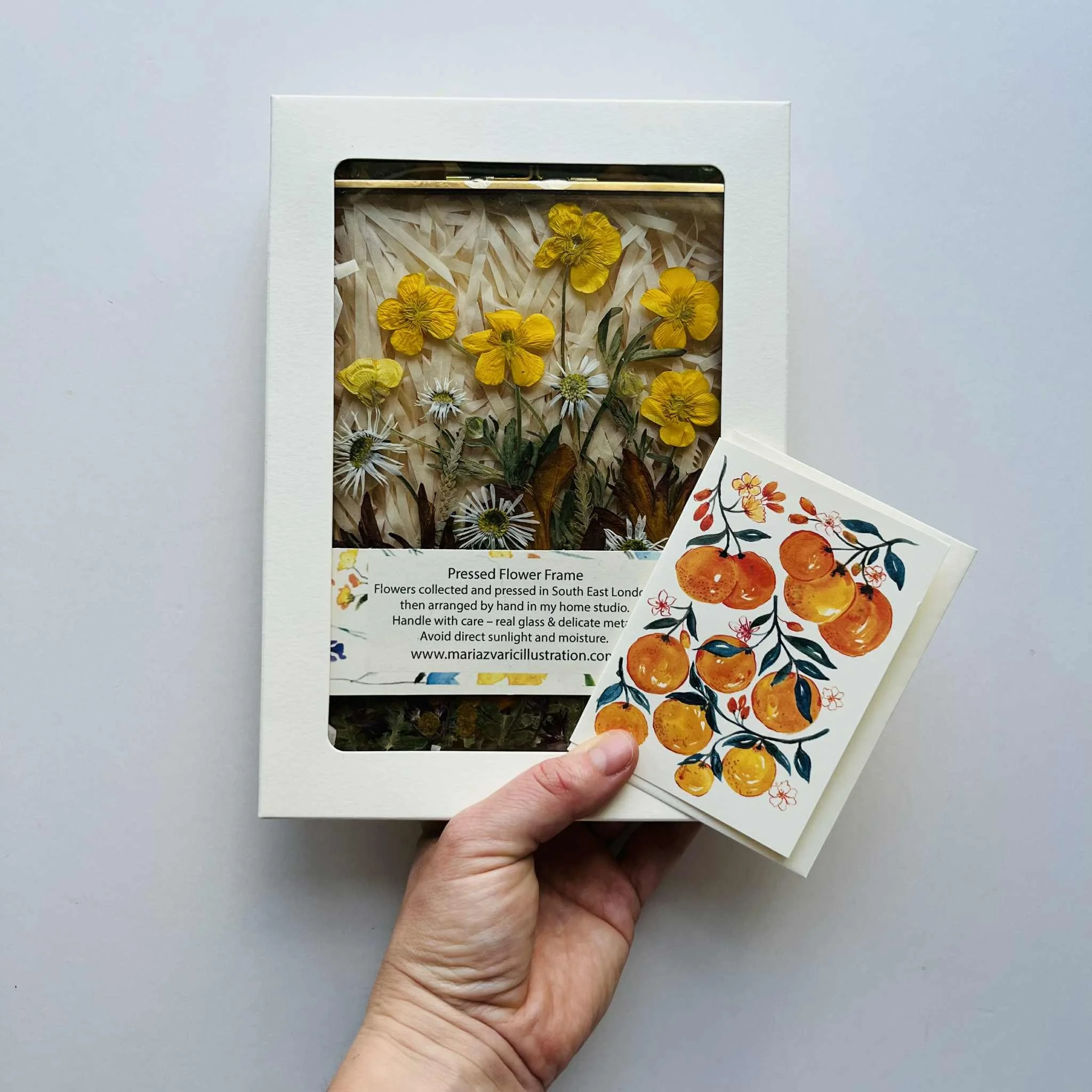 Maria Zvaric Illustration