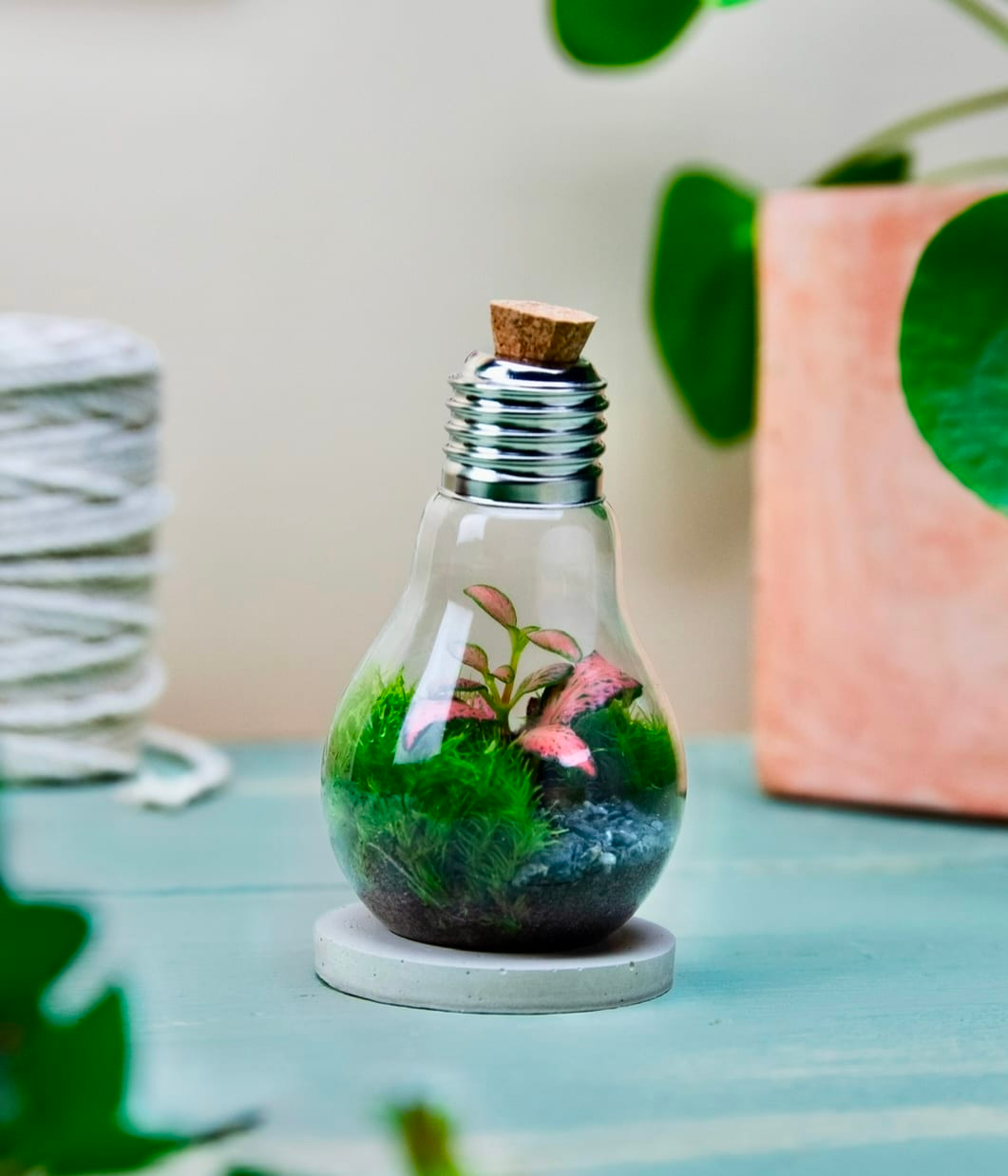 WildBulb
